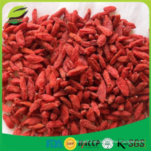 Bayas de goji secas orgánicas certificadas a granel